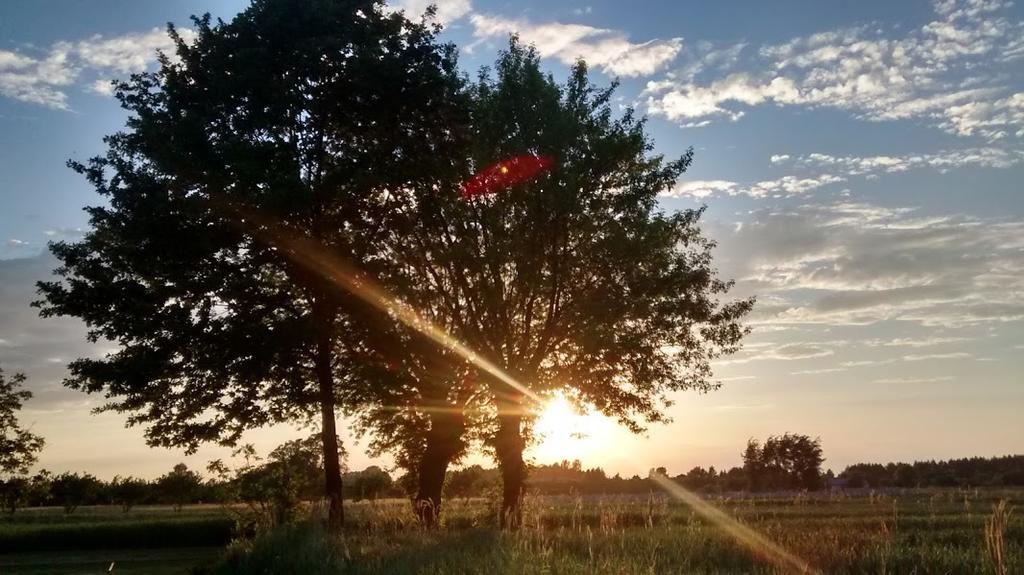 Agroturystyka Pod Swierkami Nadrybie Exterior foto