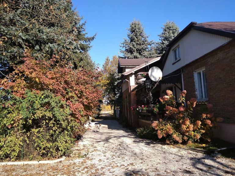 Agroturystyka Pod Swierkami Nadrybie Exterior foto