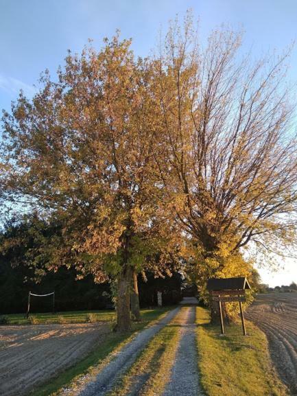 Agroturystyka Pod Swierkami Nadrybie Exterior foto